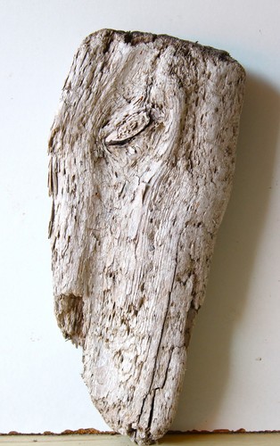 Treibholz schwemmholz - treibholz,