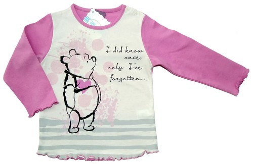 Disney winnie pooh - winnie,
