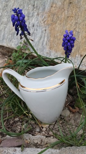 Milchkännchen aus porzellan - milchkännchen,