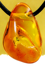 Echter   BERNSTEIN    Anhänger  gebohrt    A-Qualität    Freeform    Nr.12