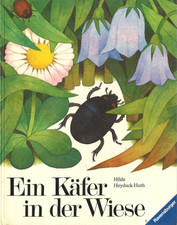 Ein Käfer in der Wiese von