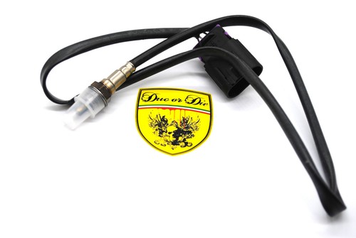 Neu ducati lambdasonde - ducati,