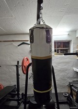 Excalibur Boxing Thunder Pro