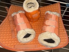 Eskadron Classic Sports FS22