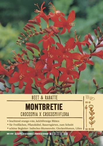 Croosmia red - croosmia,