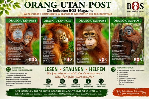 Orang utan post - bos,