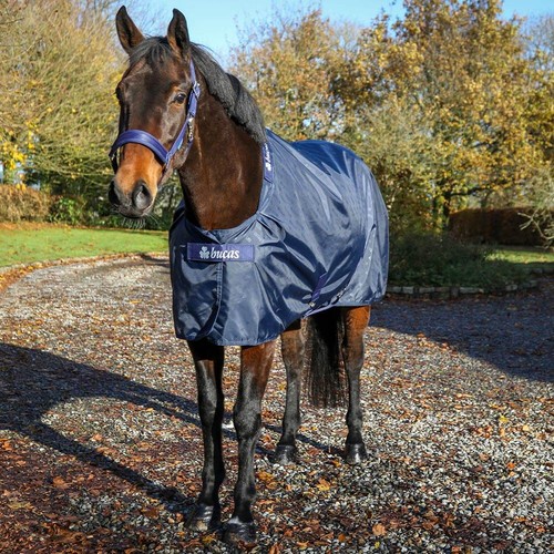 Bucas stable sheet - sheet, 0g