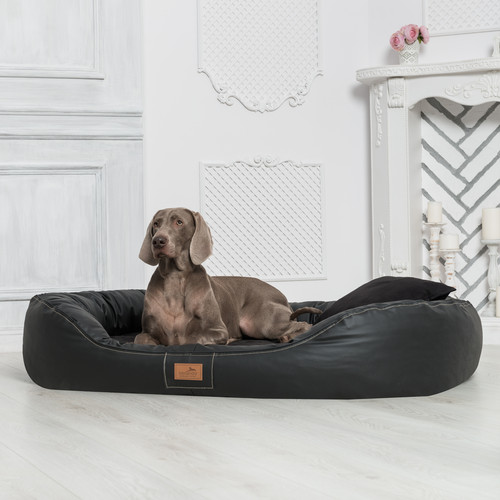 Orthopädisches hundebett - orthopädisches,