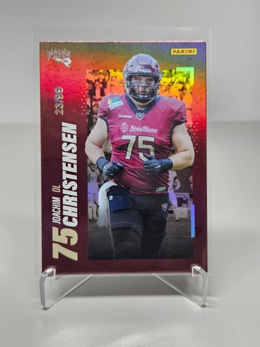 2023 panini rhein fire - rhein,