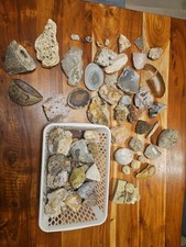 Konvolut * Steinsammlung *