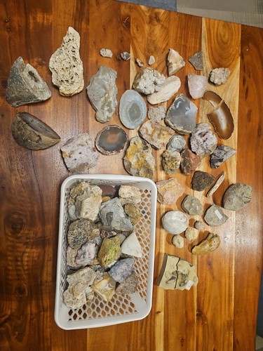 Konvolut steinsammlung - *,