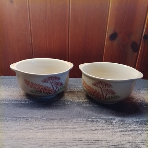 Ddr suppenschale keramik mit - suppenschale,