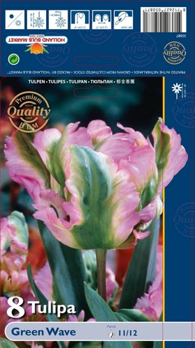 Tulpen - (◕‿◕)\@,
