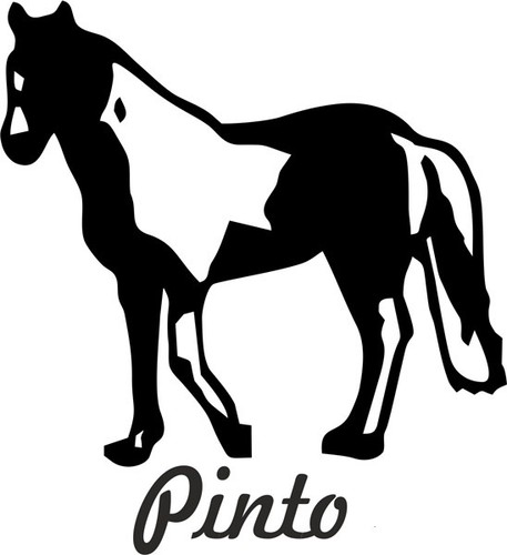 Auto aufkleber pinto pferd - 2,