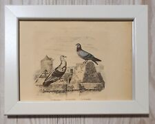 1852 Lithographie Kunstdruck