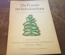 Die Praxis im Tabakanbau zum