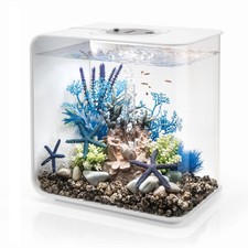 Oase biOrb FLOW 30 MCR weiß