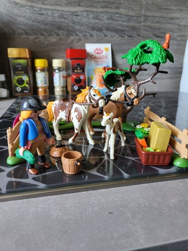 Playmobil country set - playmobil,