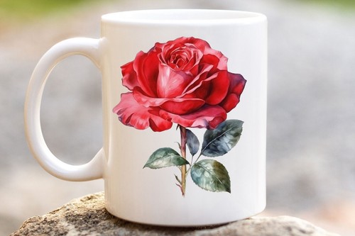Aquarell rote rose tasse - rose,