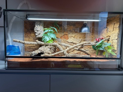 Terrarium komplettset mit - terrarium,