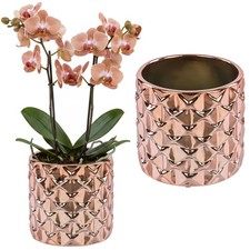 Keramik Blumentopf übertopf Roségold Spiegeleffekt Ø13,5cm glänzende Hochglanz