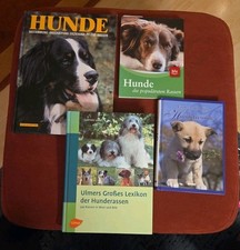 4 Bücher, Hunderassen und Erziehung