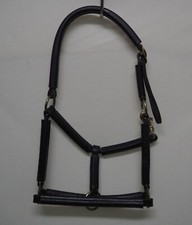 Stallhalfter Vorführ Turnier