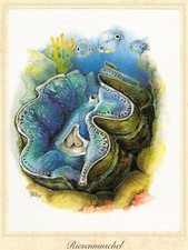 Riesenmuschel (Tridacna gigas)