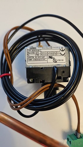 Jumo 602031/80