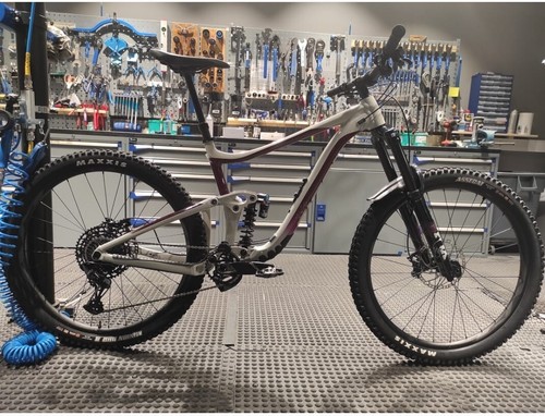 Mtb enduro bike giant - giant, sx