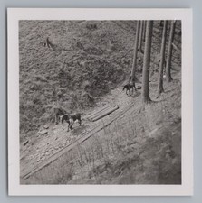 Schwarzburg Schwarza Valley