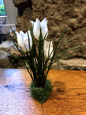 3 Tulpen auf Grassockel