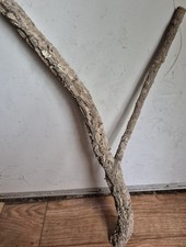 Korkast