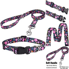 Hundehalsband und Leine Set