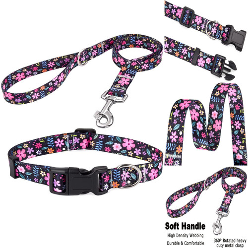Hundehalsband und leine - leine, set
