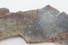 Sauropoden-Knochen, Jura, Morrison Formation, Colorado, USA -i679