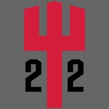 Neptun 22, Goldener Mast ,Großsegel, Neu Donau Segel