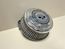 Harley Davidson Skull Screamin