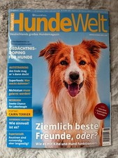 Hunde Welt 08/2024 Hunde Magazin/Zeitschrift