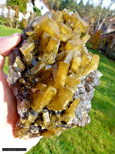 Golden baryt auf fluorit von - golden,