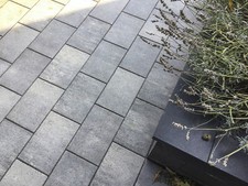 Beton Pflasterstein in Grau-Anthrazit nuanciert | 20x30x6cm | ☝🏻Befahrbar