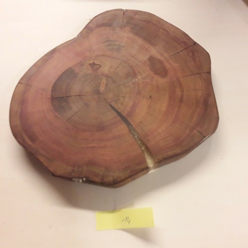 Holzscheiben aus pflaumenholz - holzscheiben,