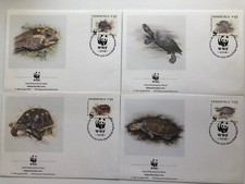 WWF 4 ETB Venezuela Schildkröten