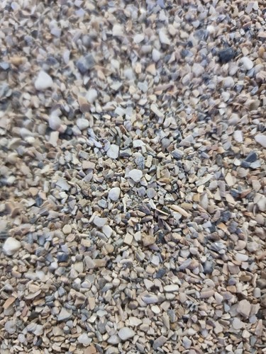 (1,47€/kg)Muschelschalenschr