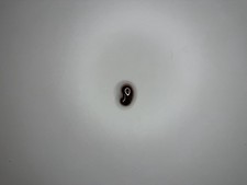 Samsung Galaxy Buds Live - NUR