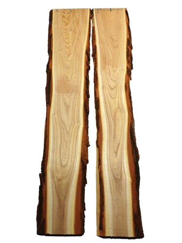 Akazienholz robinie holz - 2x,