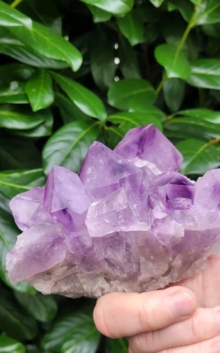 Amethyst stufe - amethyst,