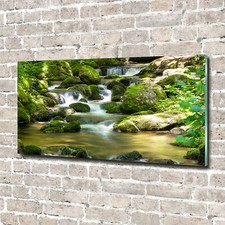 Acrylglas bild wandbilder - acrylglas-bild,