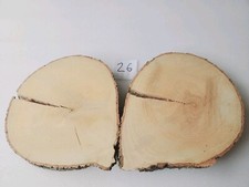 Int26 XL Deko Baumscheibe Esche 68x37x6 ca.40 Jahre Holzscheibe Tischplatte