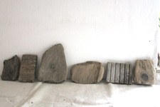 Schwemmholz Treibholz 6